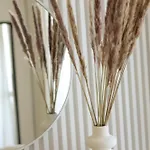 Apartmán Tiara Durrës